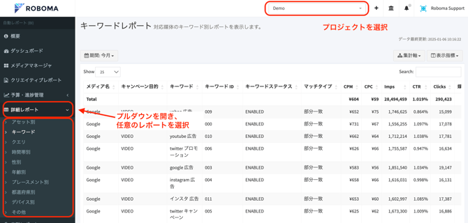 詳細レポート_アクセス画面
